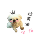 Family＆2（個別スタンプ：1）
