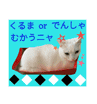 4cat.IDOL（個別スタンプ：12）