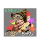 4cat.IDOL（個別スタンプ：15）