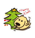 Golden retriever-Bear-merry Christmas（個別スタンプ：1）