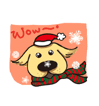 Golden retriever-Bear-merry Christmas（個別スタンプ：3）