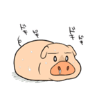 豚のブータくん（個別スタンプ：36）