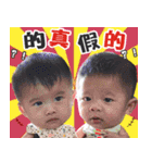 Family of twin babies（個別スタンプ：13）