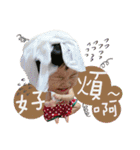 Hsuan happiness of the day（個別スタンプ：6）