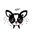 Chihuahua Ivan（個別スタンプ：1）