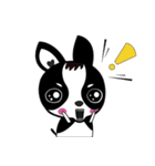 Chihuahua Ivan（個別スタンプ：6）