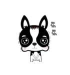 Chihuahua Ivan（個別スタンプ：8）