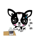 Chihuahua Ivan（個別スタンプ：10）