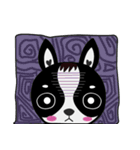 Chihuahua Ivan（個別スタンプ：15）