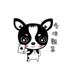 Chihuahua Ivan（個別スタンプ：21）