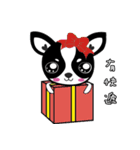 Chihuahua Ivan（個別スタンプ：22）