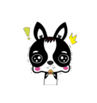 Chihuahua Ivan（個別スタンプ：31）