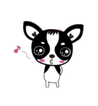 Chihuahua Ivan（個別スタンプ：33）