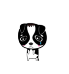 Chihuahua Ivan（個別スタンプ：36）