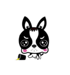 Chihuahua Ivan（個別スタンプ：39）