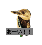 Also do O, animal stamp1（個別スタンプ：4）