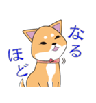 柴犬ちゃんー赤柴の女の子スタンプー（個別スタンプ：8）