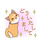 柴犬ちゃんー赤柴の女の子スタンプー（個別スタンプ：14）