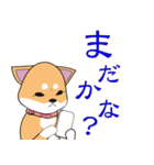 柴犬ちゃんー赤柴の女の子スタンプー（個別スタンプ：16）