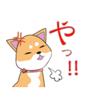 柴犬ちゃんー赤柴の女の子スタンプー（個別スタンプ：18）