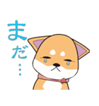 柴犬ちゃんー赤柴の女の子スタンプー（個別スタンプ：22）