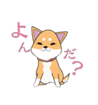 柴犬ちゃんー赤柴の女の子スタンプー（個別スタンプ：23）