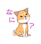 柴犬ちゃんー赤柴の女の子スタンプー（個別スタンプ：24）