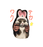 nekobrothers（個別スタンプ：13）