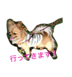Leon Otsuka（個別スタンプ：1）
