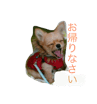 Leon Otsuka（個別スタンプ：4）