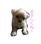 Leon Otsuka（個別スタンプ：7）