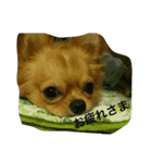 Leon Otsuka（個別スタンプ：8）