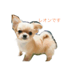 Leon Otsuka（個別スタンプ：9）