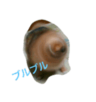 Leon Otsuka（個別スタンプ：12）