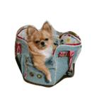 Leon Otsuka（個別スタンプ：14）