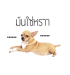 Pechploy The Dog（個別スタンプ：1）
