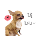 Pechploy The Dog（個別スタンプ：2）