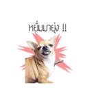 Pechploy The Dog（個別スタンプ：3）