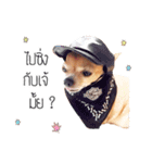Pechploy The Dog（個別スタンプ：5）