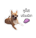 Pechploy The Dog（個別スタンプ：6）
