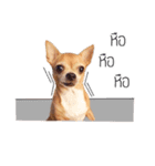 Pechploy The Dog（個別スタンプ：8）