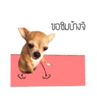 Pechploy The Dog（個別スタンプ：11）
