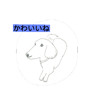 DOG CUTE16（個別スタンプ：1）