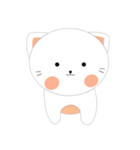 Meow or never（個別スタンプ：4）