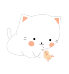 Meow or never（個別スタンプ：15）