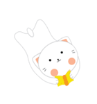 Meow or never（個別スタンプ：20）