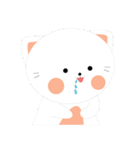 Meow or never（個別スタンプ：24）