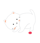 Meow or never（個別スタンプ：40）