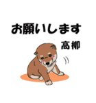 高柳さん用の名前スタンプ・子犬イラスト（個別スタンプ：1）