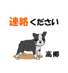高柳さん用の名前スタンプ・子犬イラスト（個別スタンプ：12）